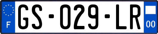 GS-029-LR