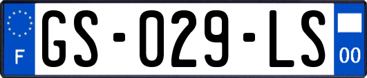 GS-029-LS