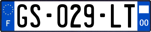GS-029-LT