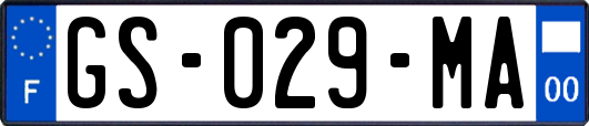 GS-029-MA