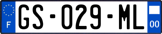 GS-029-ML
