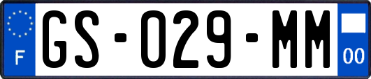 GS-029-MM