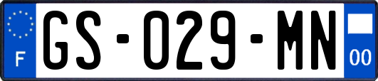 GS-029-MN
