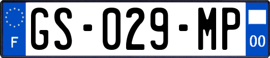 GS-029-MP