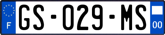 GS-029-MS