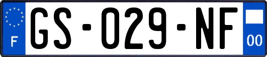 GS-029-NF