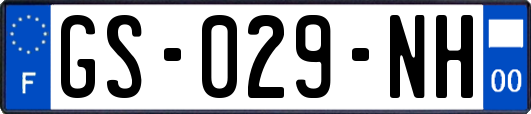 GS-029-NH