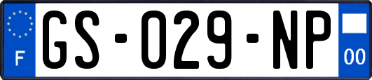 GS-029-NP