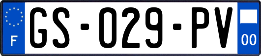 GS-029-PV