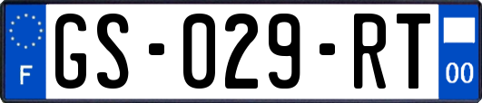GS-029-RT