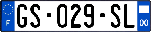 GS-029-SL