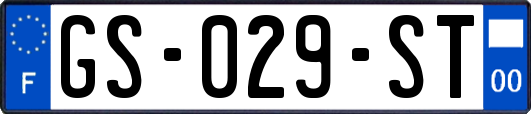 GS-029-ST