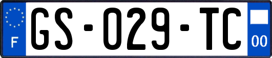 GS-029-TC