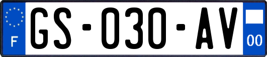 GS-030-AV