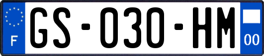 GS-030-HM