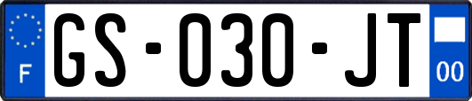 GS-030-JT