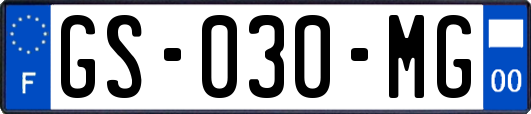 GS-030-MG