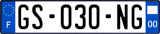 GS-030-NG