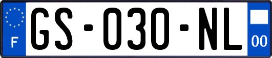 GS-030-NL