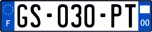 GS-030-PT