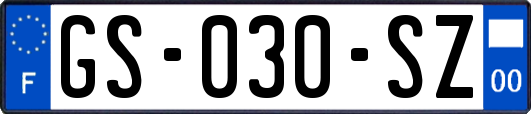 GS-030-SZ