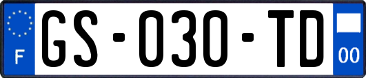 GS-030-TD