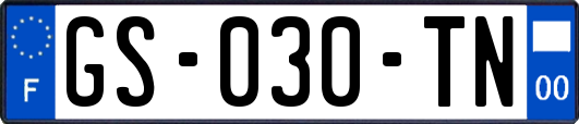 GS-030-TN