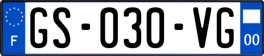 GS-030-VG