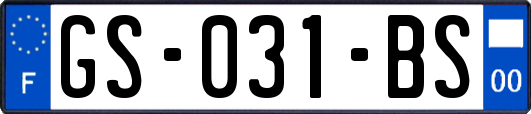 GS-031-BS