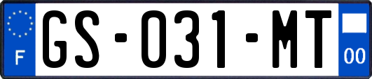 GS-031-MT