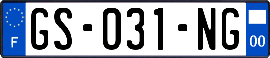 GS-031-NG