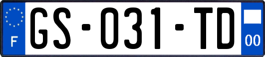 GS-031-TD