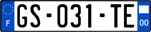 GS-031-TE