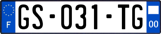 GS-031-TG