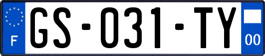 GS-031-TY