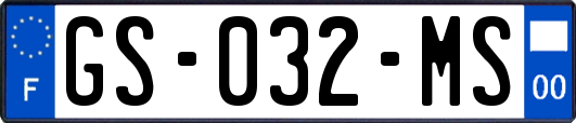 GS-032-MS
