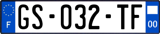 GS-032-TF