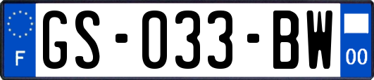 GS-033-BW