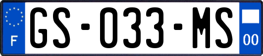 GS-033-MS