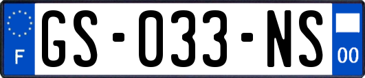 GS-033-NS