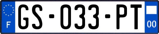 GS-033-PT