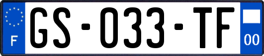 GS-033-TF