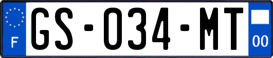 GS-034-MT