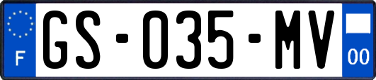 GS-035-MV
