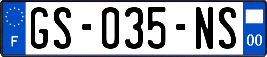GS-035-NS