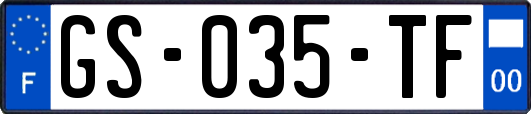 GS-035-TF
