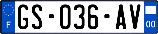 GS-036-AV