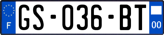 GS-036-BT