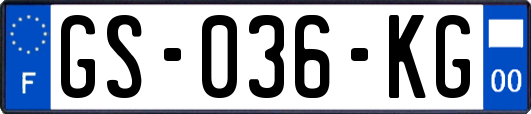 GS-036-KG