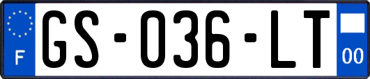 GS-036-LT